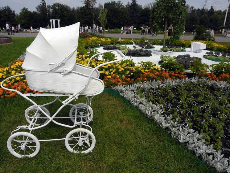 Обналичивших 749 сертификатов на маткапитал будут судить в Красноярском крае