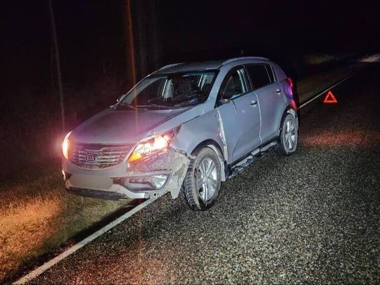 В Шпаковском округе пешеход погиб под колёсами KIA