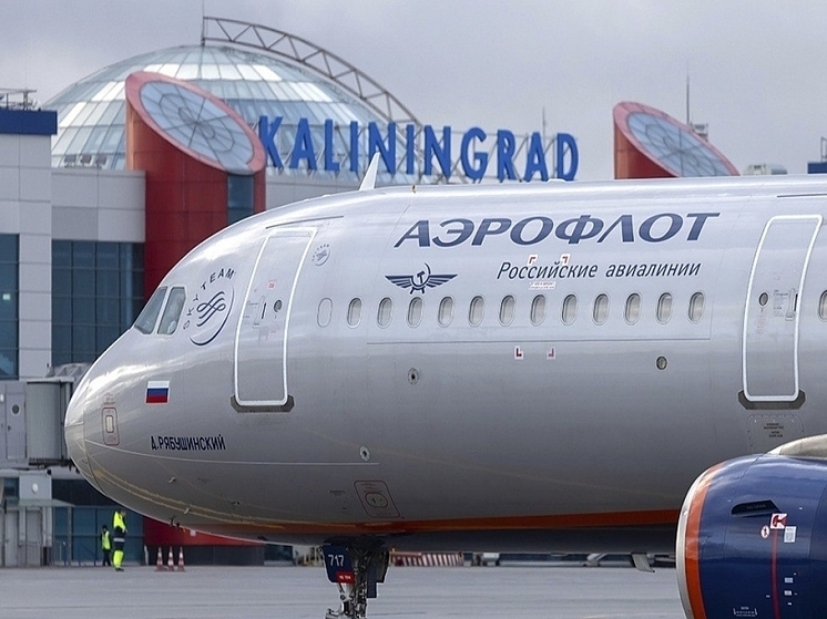 В Минтрансе Чувашии рассказали о загрузке авиарейсов в Калининград и Махачкалу