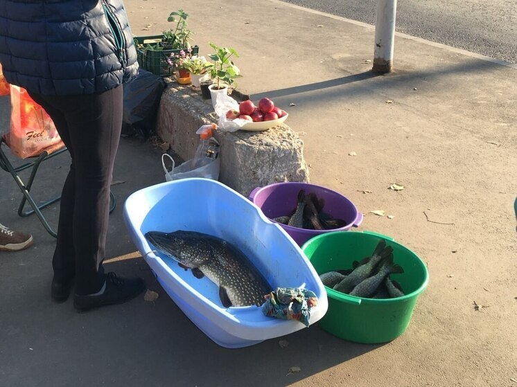 Продукция из Саратова нацелилась на маркетплейсы Объединенных Арабских Эмиратов