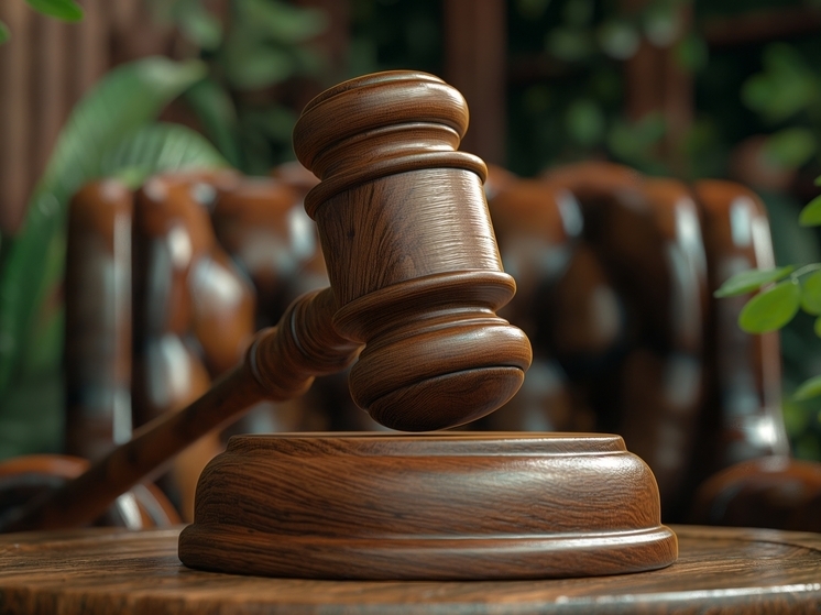 Жену экс-вице-мэра Екатеринбурга заподозрили в причинении ущерба на 129 млн руб