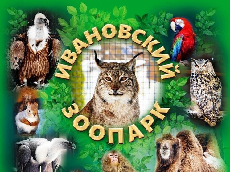 В Ивановском зоопарке избавились от назойливых насекомых