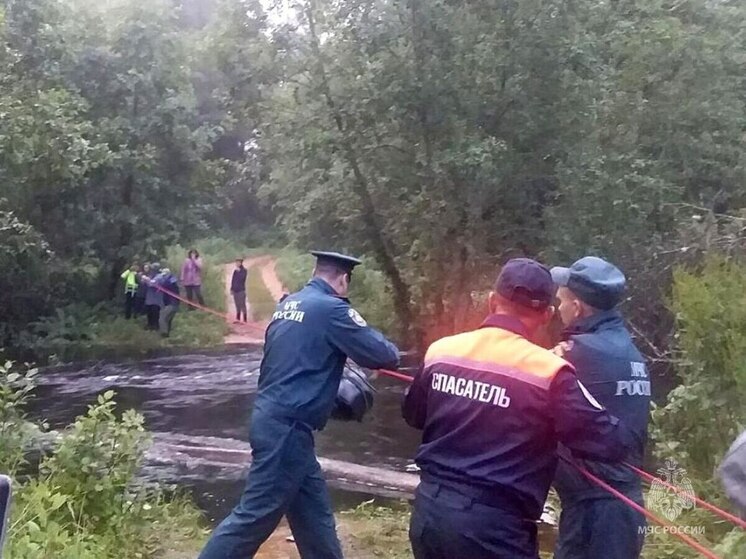 Сотрудники МЧС оказывают помощь жителям гдовской деревни