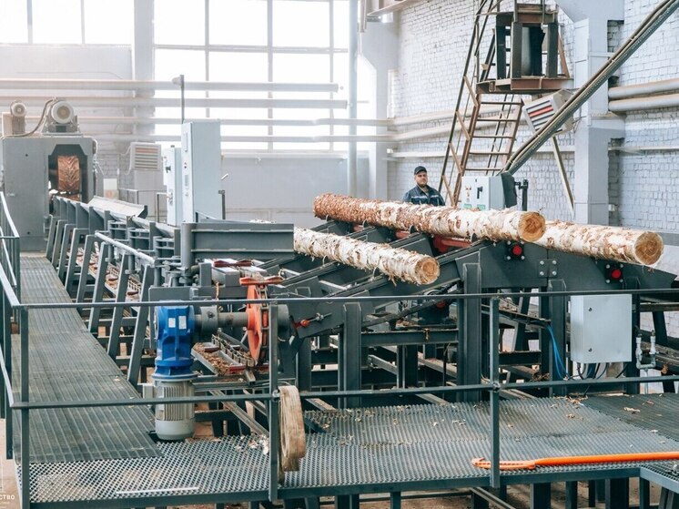 От санитарной рубки до мебели: Чувашия делает ставку на лес как ресурс роста