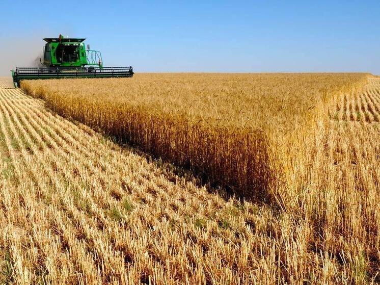 Самарские аграрии отправили на экспорт 180 тыс. тонн продукции в 2025 году