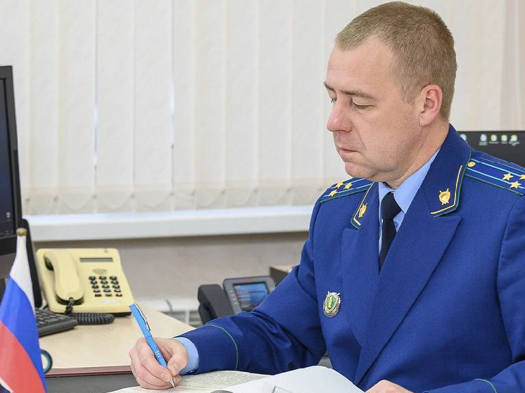 В Брянске похоронная служба незаконно заняла участок лесного фонда