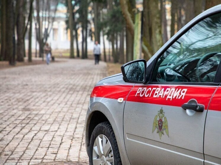 Дебошира, который разбил чужой автомобиль, задержали росгвардейцы