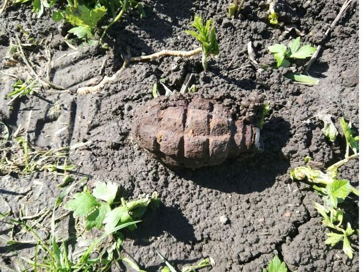 В Ярцеве нашли ручную гранату времен войны