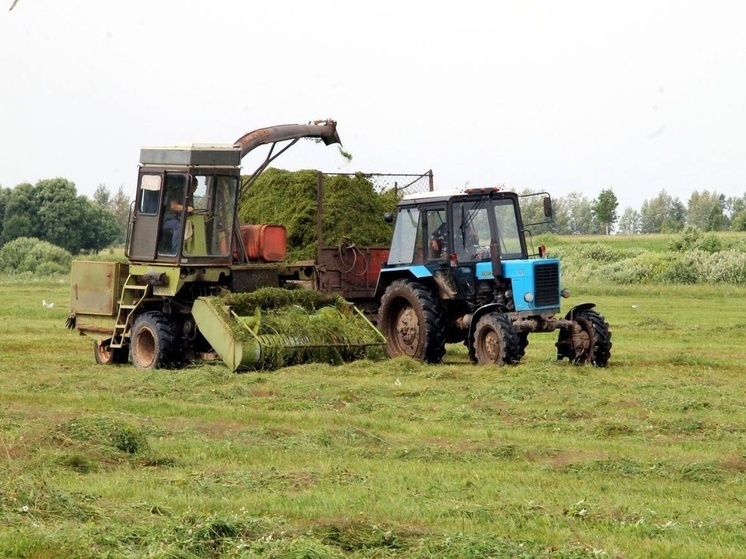 Василий Анохин: на Смоленщине в разгаре сенокос