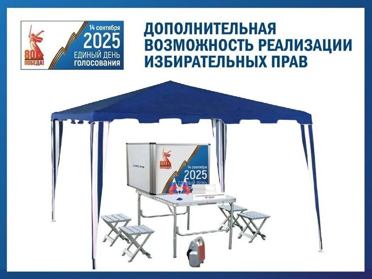 В Воронежской области разрешили придомовое голосование на осенних выборах