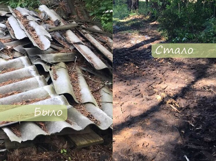 Калужский лес стал чище после субботника