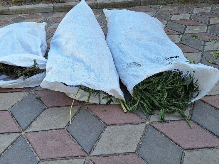Херсонцу грозит до 10 лет за оборот наркотиков