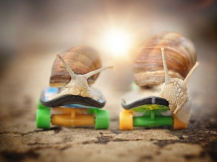 Народные приметы на 18 июля 2025 года: что нельзя делать в Афанасьев день