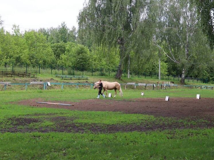 В Новомосковске появится профессиональный плац для занятия верховой ездой