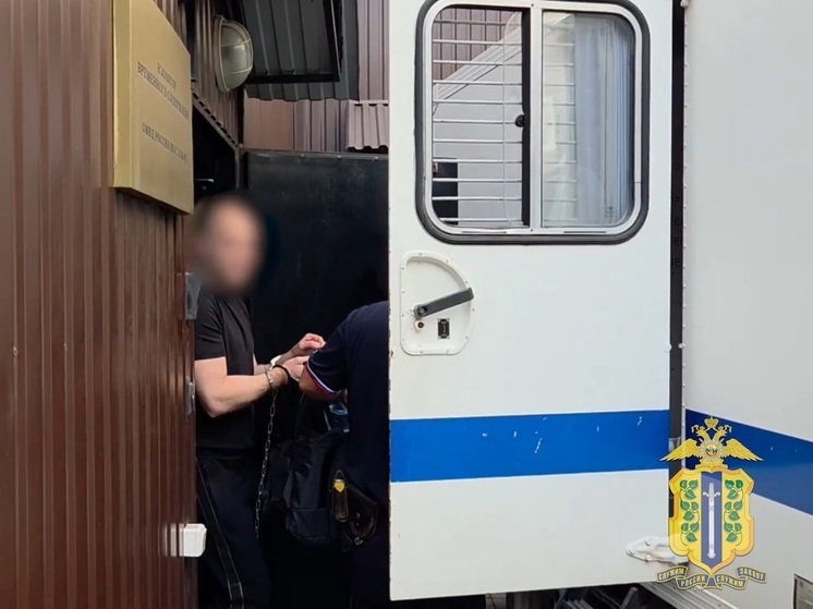 В Липецкой области задержан мошенник, обманувший пенсионерку на 5,1 миллиона рублей