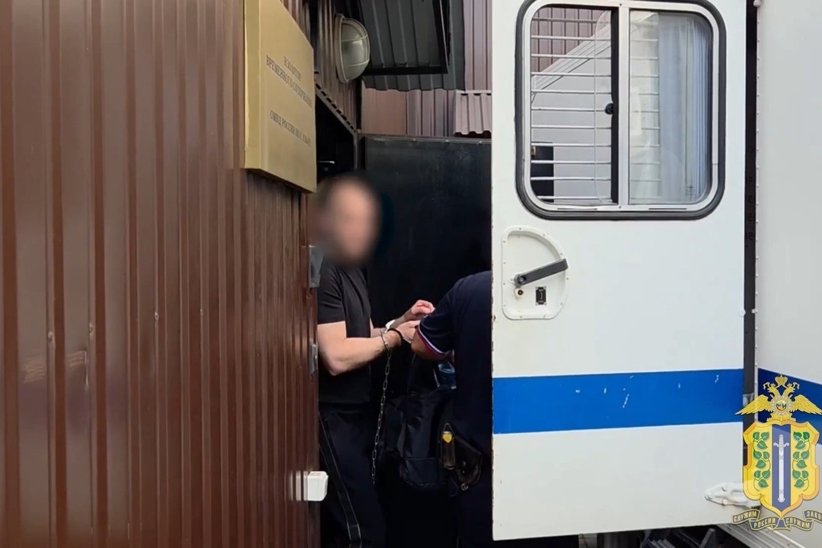 В Липецкой области задержан мошенник, обманувший пенсионерку на 5,1 миллиона рублей