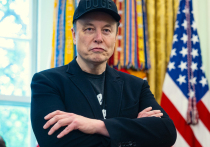История Tesla — это история взлета, казалось бы, невозможного. Всего за 18 лет скромный стартап превратился в одного из крупнейшего в мире производителя электромобилей, чья рыночная капитализация в пике превышала 1,5 триллиона долларов. Однако сегодня будущее компании оказалось под угрозой из-за неожиданного фактора — публичной вражды между Илоном Маском и президентом США Дональдом Трампом.  
