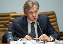 Председатель Комиссии Совета Федерации по информационной политике и взаимодействию со СМИ Алексей Пушков выступил перед журналистами с, как он сам выразился, "кратким отчетом о том, чем занималась комиссия в этом году". Речь, уточним, идет о политическом годе: осенней парламентской сессии 2024 года и весенней - 2025-го. 
