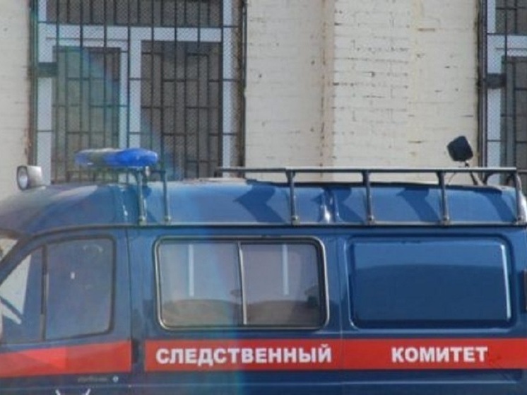 В Липецкой области подростка и молодого человека обвиняют в угоне автомобиля