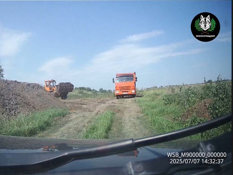 Белгородцы собирали чернозем на продажу и получили штраф