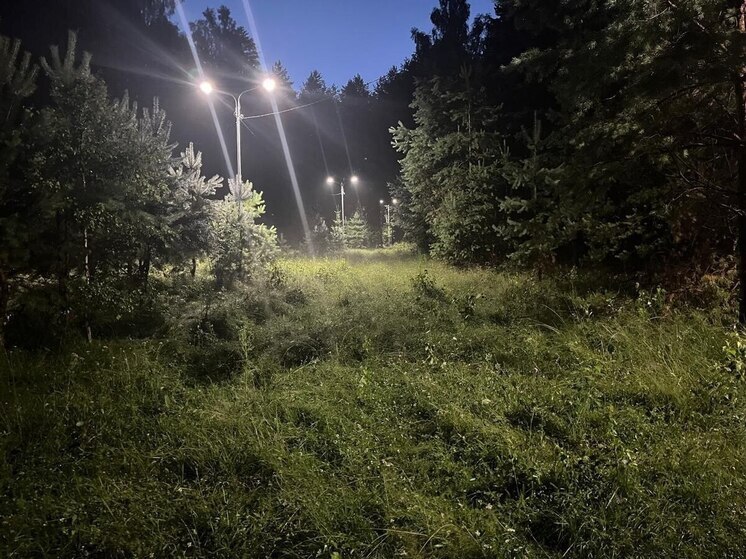 На лыжероллерной трассе в калужском Кирове появился свет