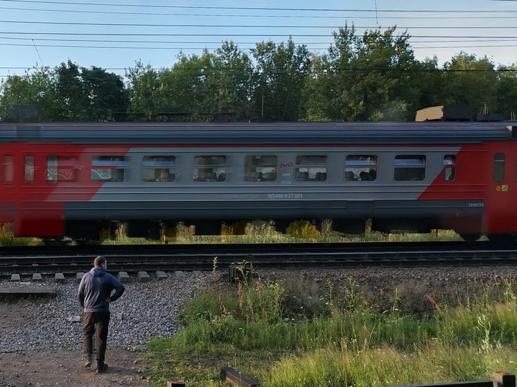 Петербуржцы в этом году чаще всего ездили на пригородных электричках