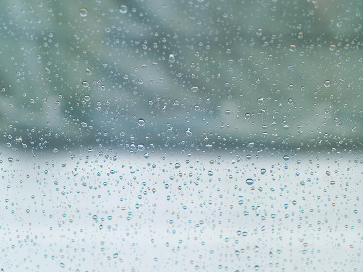 18 июля томичи вновь столкнутся с дождливой погодой