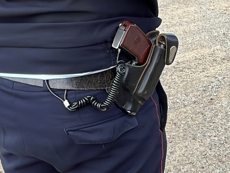 Саратовские силовики ищут 95 беглецов с помощью Интерпола