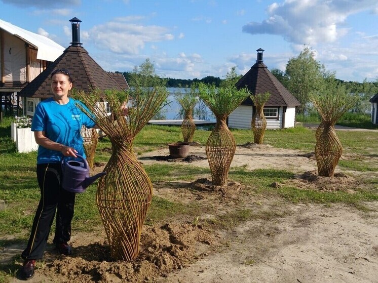 В Пыть-Яхе создают уникальный парк из плетеных ивовых деревьев