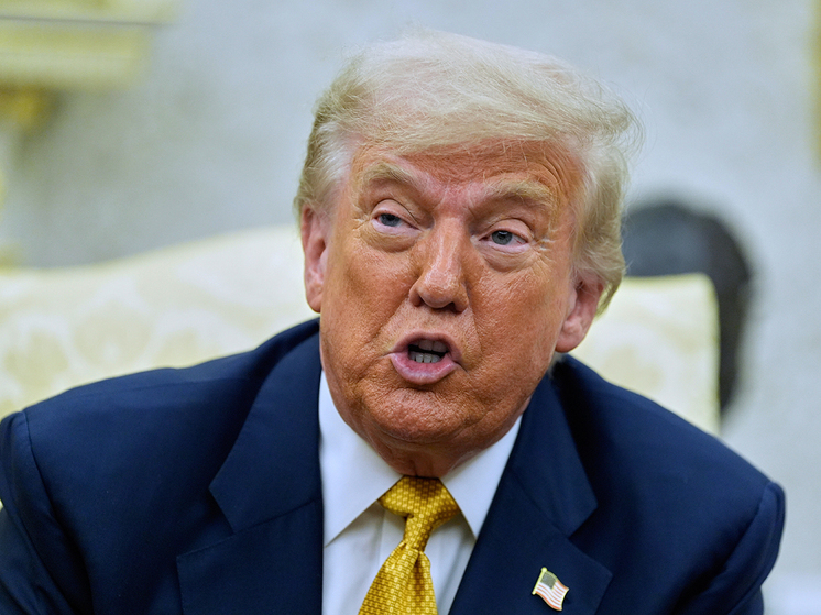 Дональд Трамп требует обнародовать стенограммы большого жюри присяжных по делу Эпштейна