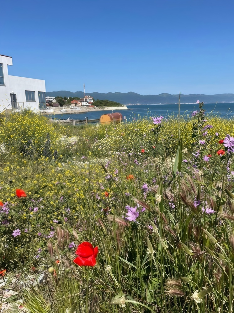 Ставропольский край компенсирует до 60% затрат на кемпинги