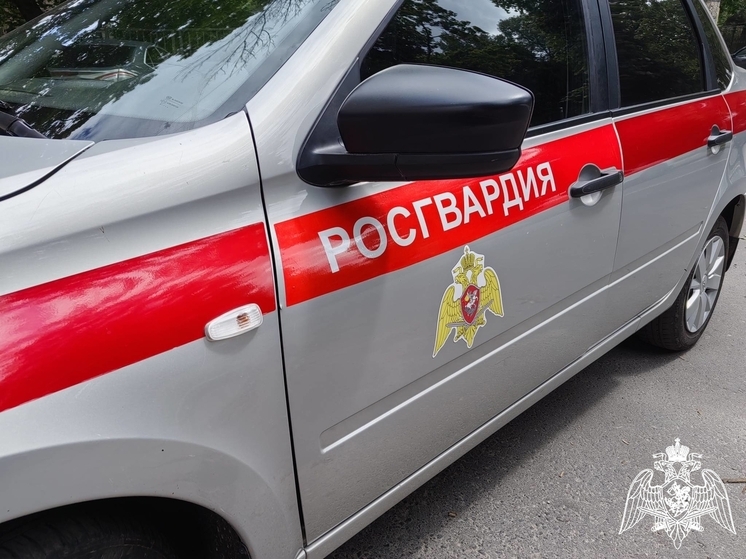 Брянские росгвардейцы поймали 31-летнего вора