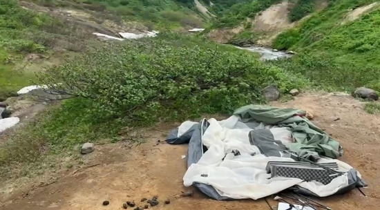 На Камчатке медведь напал на спящую туристку: видео с места ЧП