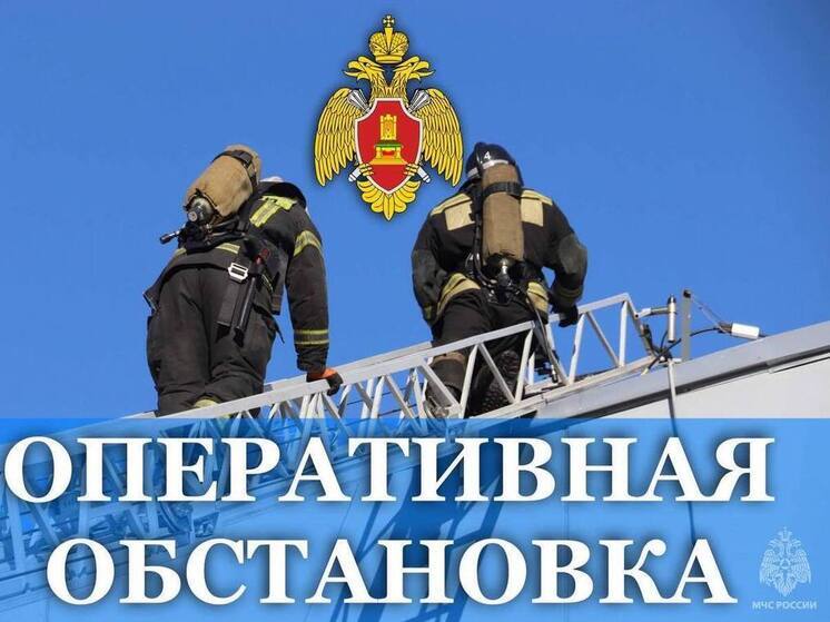 МЧС опубликовало статистику происшествий за сутки в Тверской области