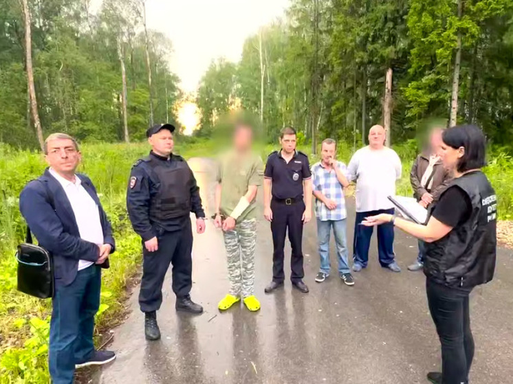 В больнице скончалась девочка, которую молотком забил подросток в Домодедово