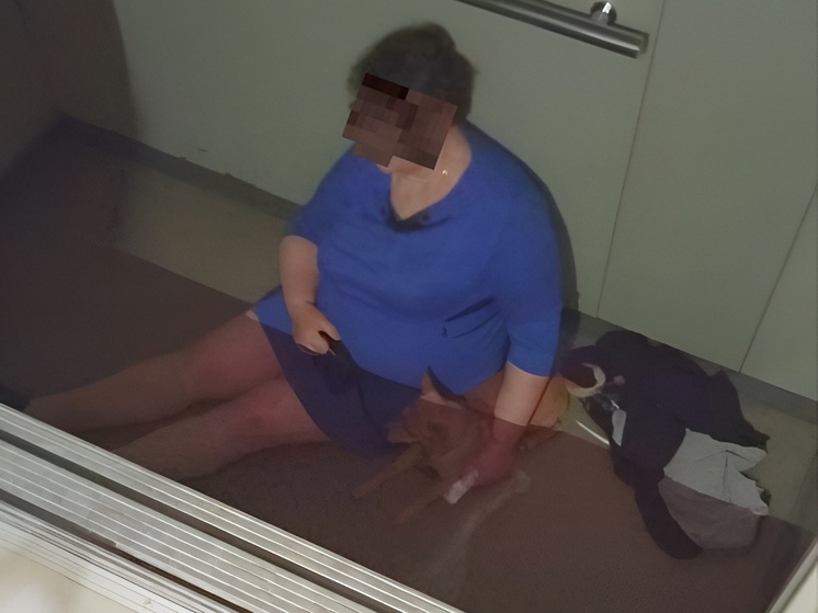 Несколько жителей Липецка застряли в лифтах при отключении света 17 июля