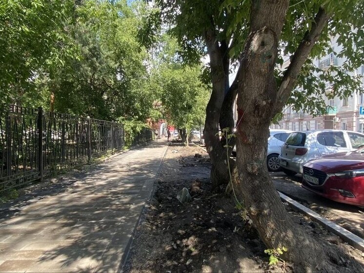 В Красноярске обсудили озеленение улицы Дзержинского с жителями