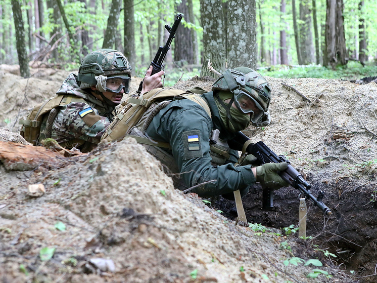 Военный аналитик Василий Дандыкин выразил обеспокоенность тем, что украинские вооружённые формирования могут готовиться к масштабному наступлению в приграничных регионах России