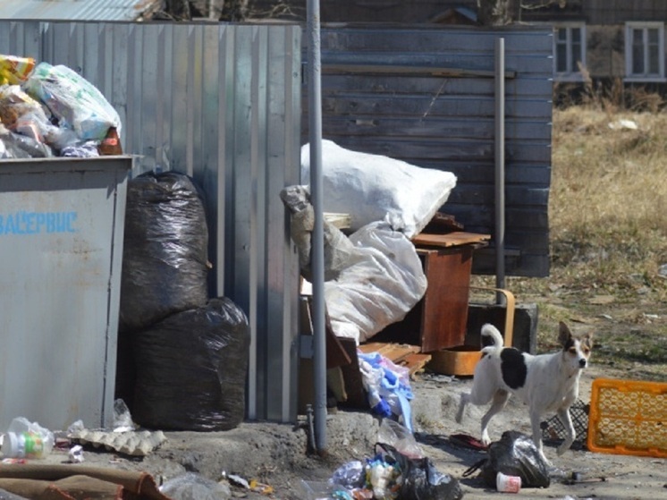 Мусорки Усолья-Сибирского проверит прокуратура