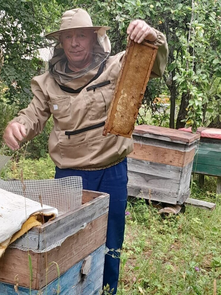 Соцконтракт помог пчеловоду из Ибресинского округа расширить пасеку