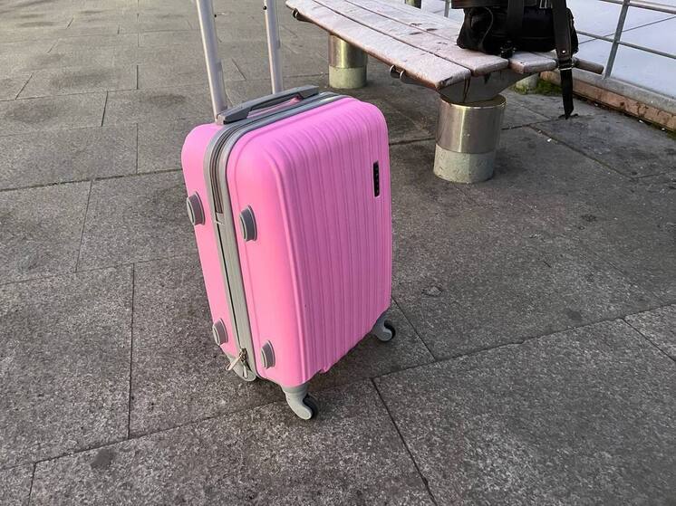 Девятилетняя девочка привезла с собой скорпиона, который ужалил ее в Петербурге