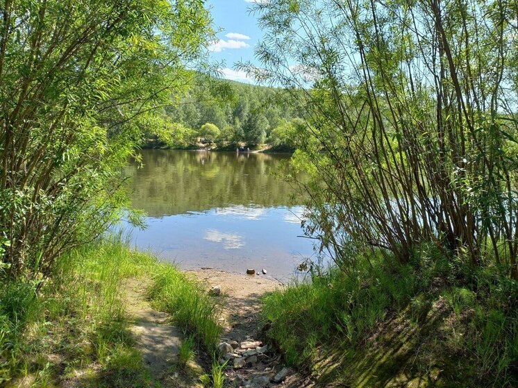 Вода в двух водоемах Забайкалья оказалась опасной