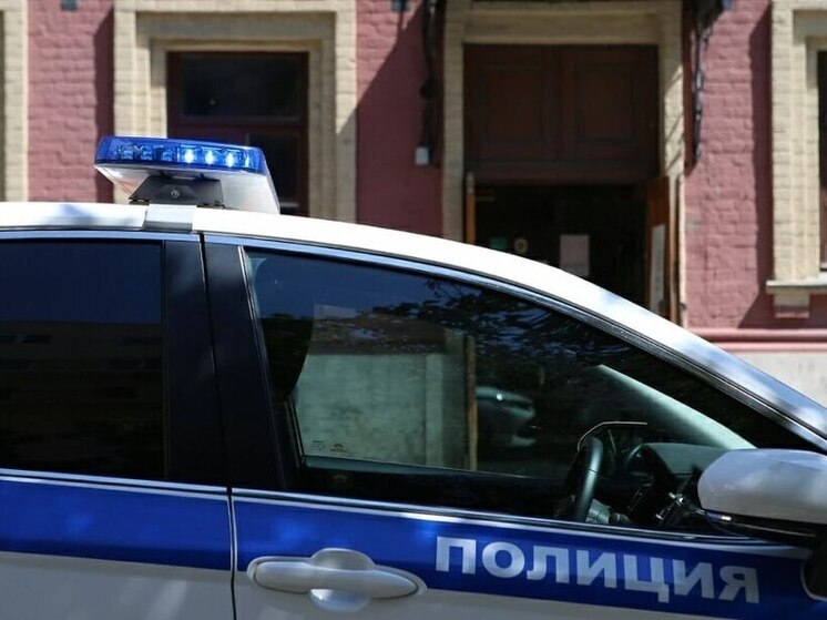  В Туле задержали пенсионера, подозреваемого в краже из велосипедной сумки