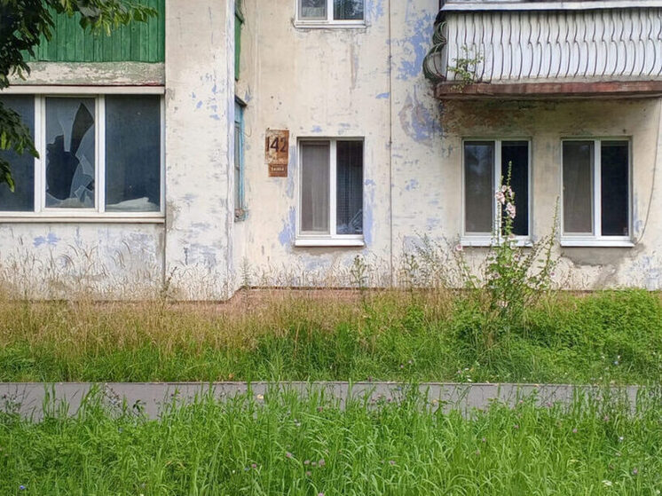 Жалобы брянских жителей подтвердились: на ряде улиц не скашивают траву