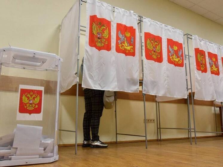 В Воронежской области живет почти 1,8 млн избирателей, которые смогут отдать голоса на будущих выборах