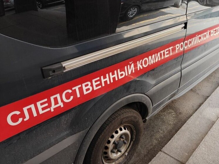 Бастрыкин запросил доклад по делу об истязании подростка в Мурмашах