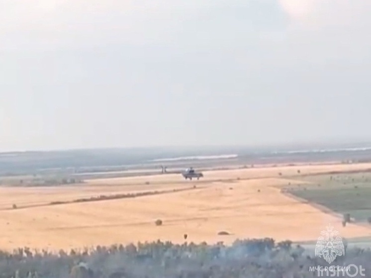 Лесной пожар в Ростовской области ликвидировали