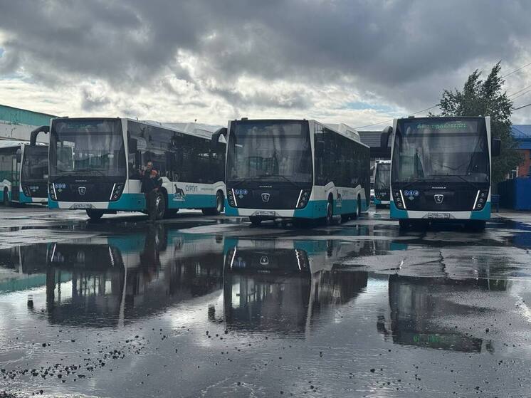 В Сургуте на линии вышли новые автобусы