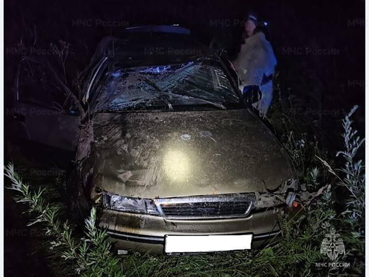 Калужские спасатели отчитались о ДТП и пожарах за сутки