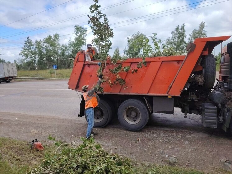 В Иркутске ежедневно косят траву и убирают улицы